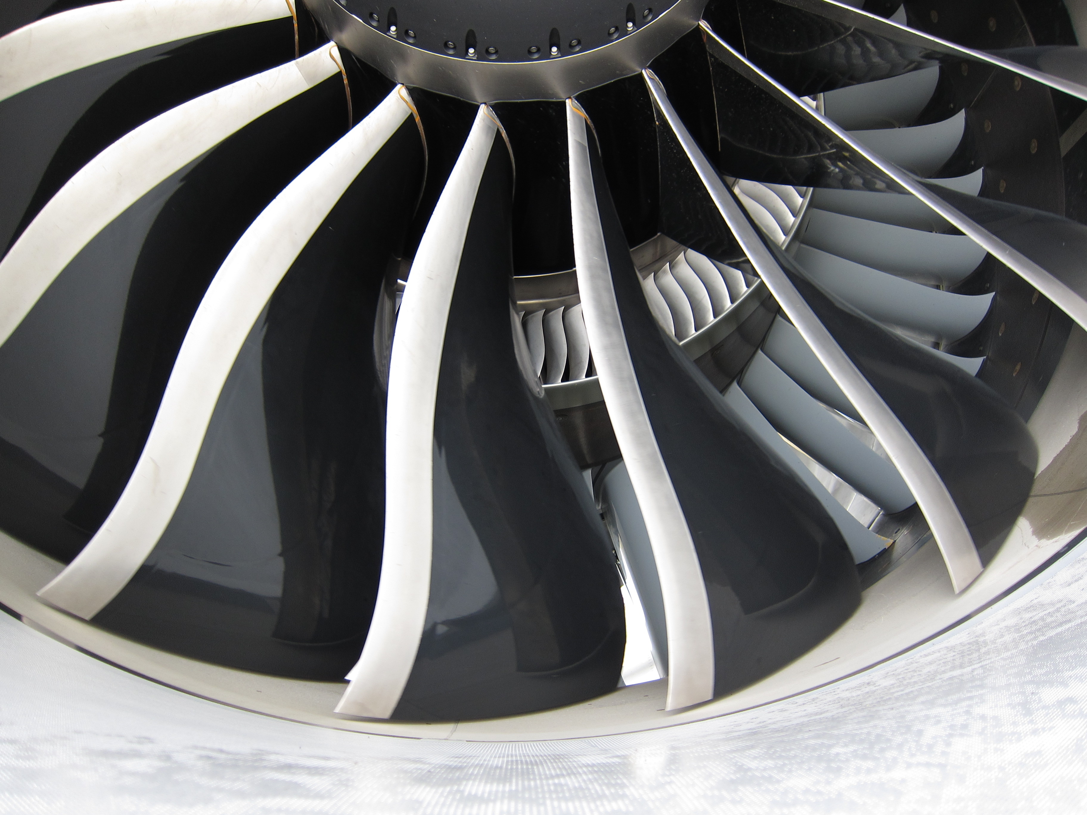 Fan blades