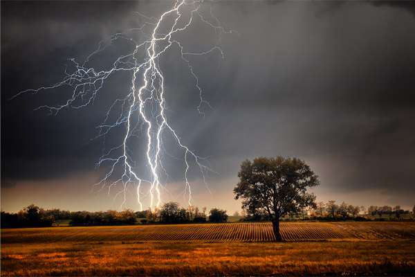 Lightning over field