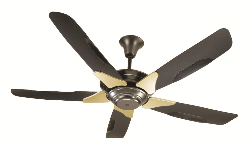 Energy Efficient Ceiling Fans