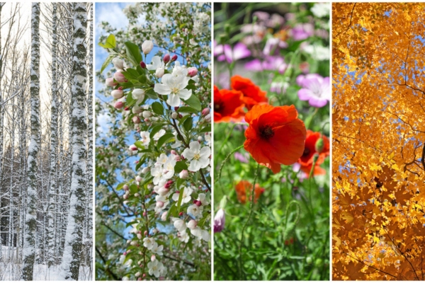 four seasons depicting seasonal energy savings tips