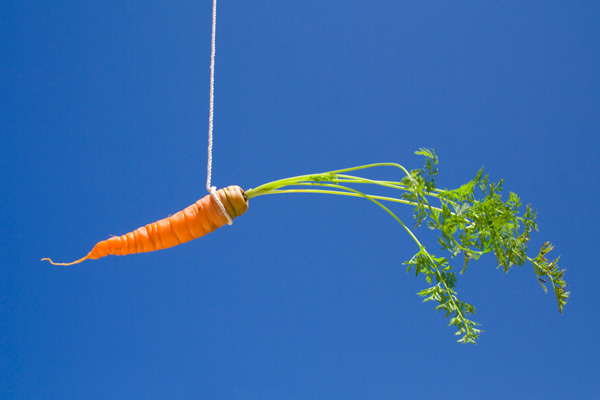 image of carrot depicting unscrupulous hvac companies