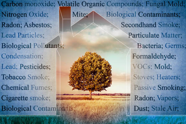 image of house with indoor air pollutants