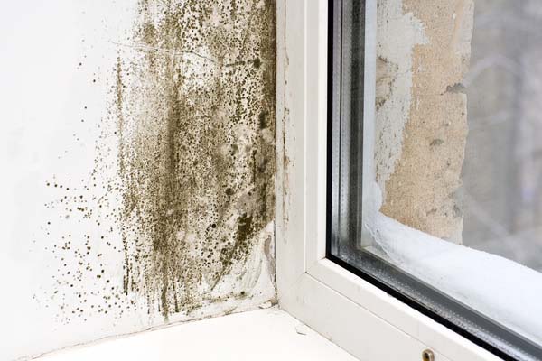 image of mold on wall due to high humidity levels indoors