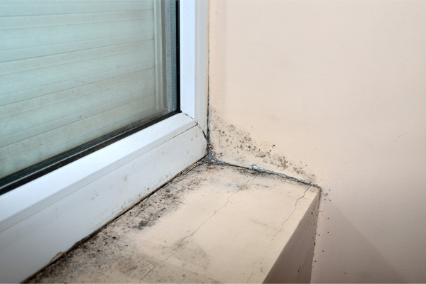 image of mold on window due to poor ventilation