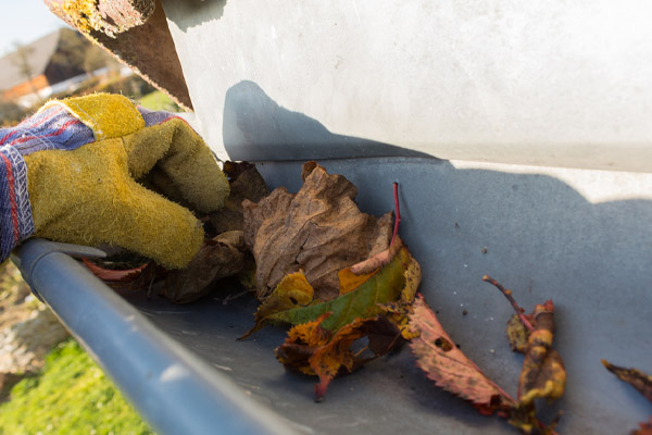 removing leaves from gutters